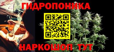 шишки Славянск-на-Кубани